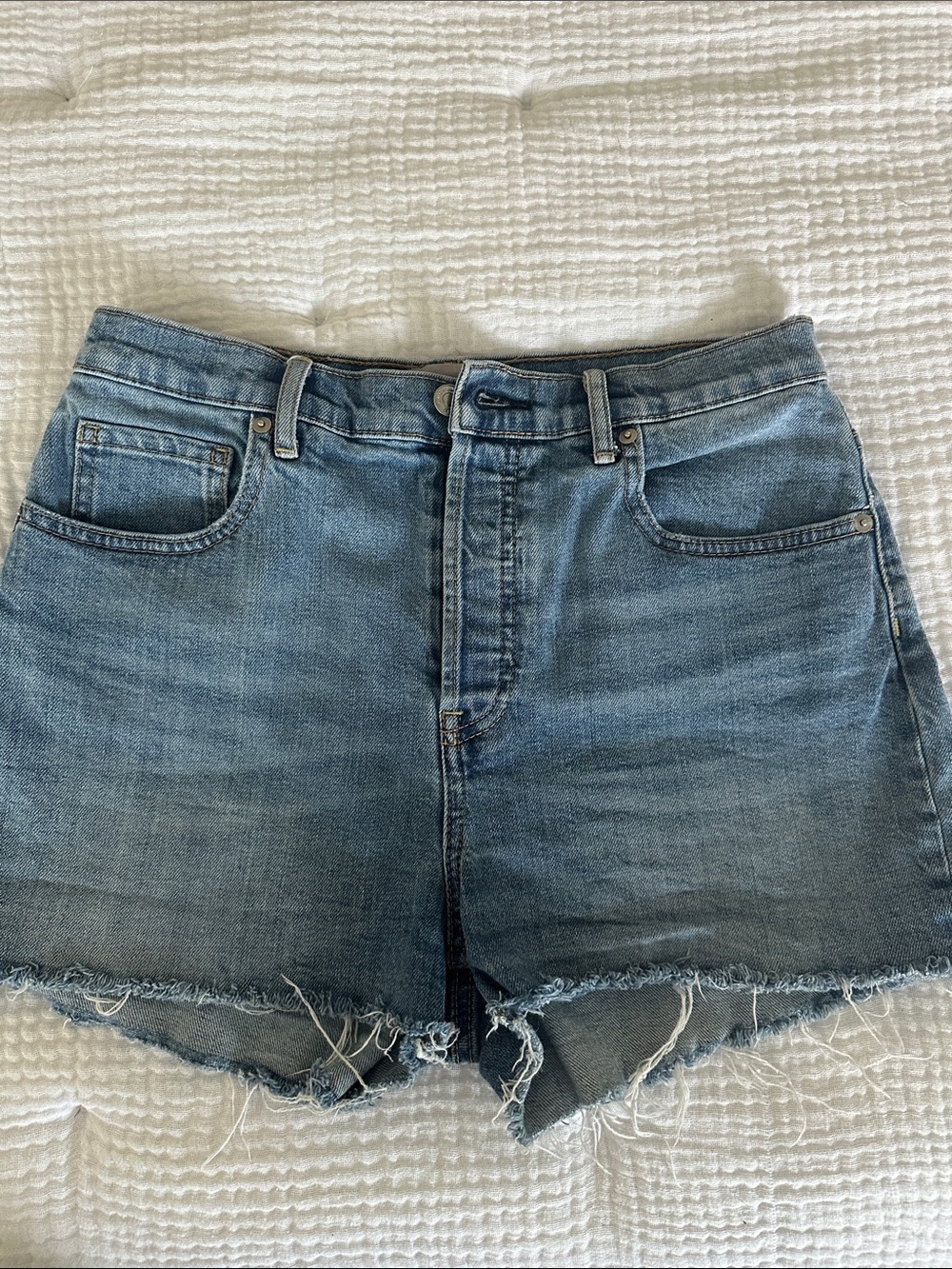 Everlane cheeky shorts